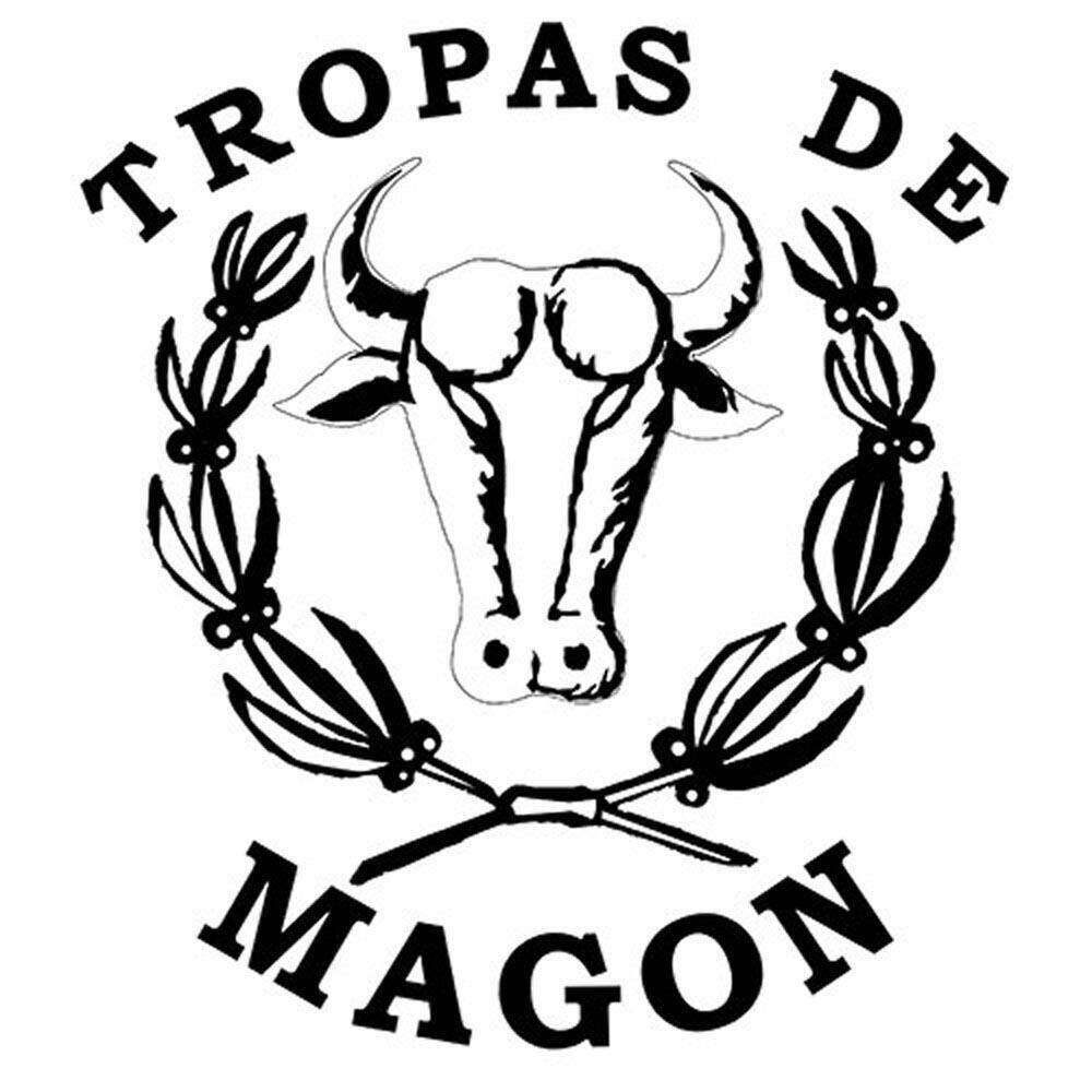Migración completa de imágenes